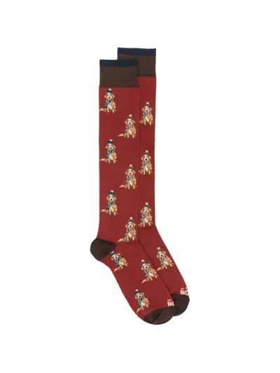 In The Box Dog-pattern Socks In Red