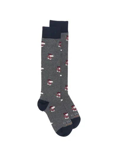 In The Box Peanuts-intarsia Cotton Socks In Gray