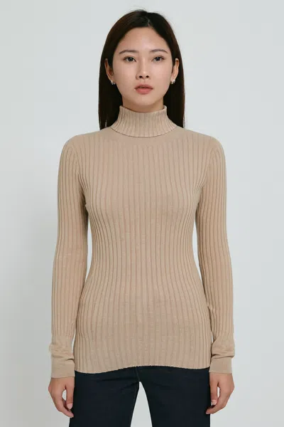 In2 By Incashmere Cotton Cashmere Blend Long Sleeve Rib Turtleneck Pullover In Brown