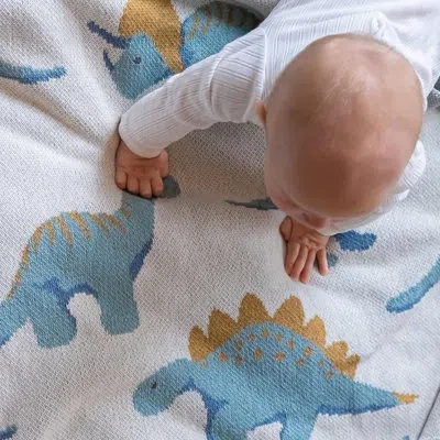 In2green In 2 Green Baby Prehistoric Animal Knit Blanket Blue