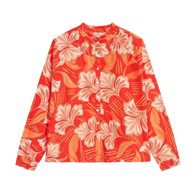 Inara Orange Molokai Sunset Women's Cotton Top