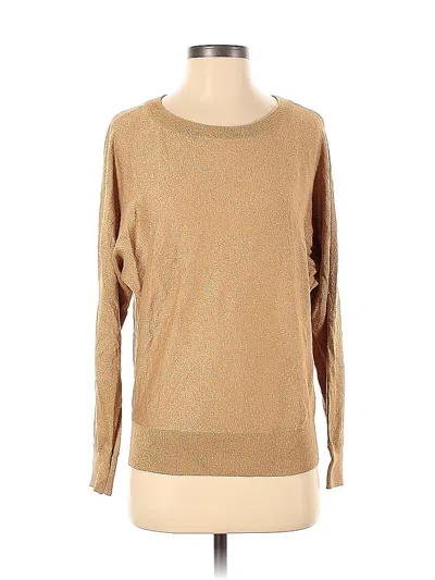 Pre-owned Inc International Concepts Pullover Sweater In Brown