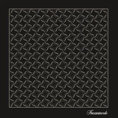Incantevole Milano Women's Silk Foulard In Black & Cream