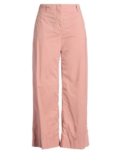 Incotex By Slowear Woman Pants Antique Rose Size 8 Cotton, Elastane In Pink