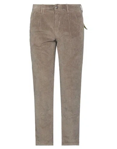 Incotex Man Pants Taupe Size 32 Cotton, Elastane In Grey