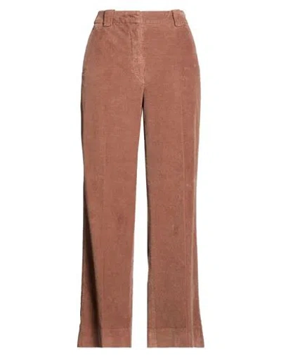 Incotex Woman Pants Brown Size 8 Cotton, Elastane