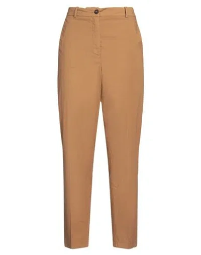 Incotex Woman Pants Camel Size 8 Cotton, Elastane In Beige