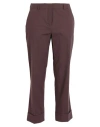 Incotex Woman Pants Chocolate Brown Size 6 Cotton, Elastane