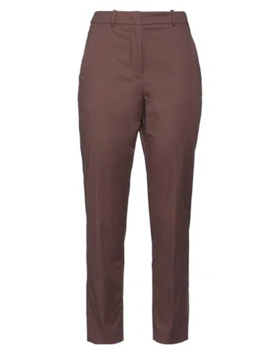 INCOTEX INCOTEX WOMAN PANTS CHOCOLATE BROWN SIZE 6 COTTON, ELASTANE