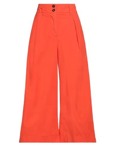 Incotex Woman Pants Orange Size 4 Cotton, Elastane
