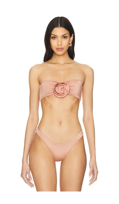 Indah Cosette Rose Bandeau Bikini Top In Coffee Cream