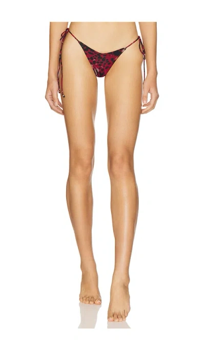 Indah Frutti Skimpy Printed Side Ties Bikini Bottom In Asher & Red