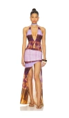 Indah Hazel Printed Mesh Maxi Gown