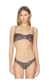 Indah Misha Bralette In Multi