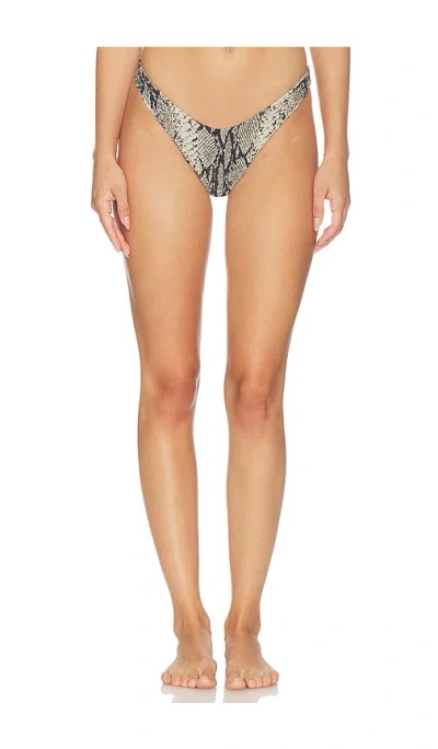Indah Oates Printed Skimpy Bikini Bottom In Gray