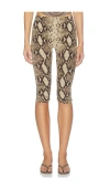 Indah Printed High Waisted Capri Pant In Python
