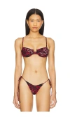 Indah Tutti Printed Underwire Bikini Top In Asher & Red