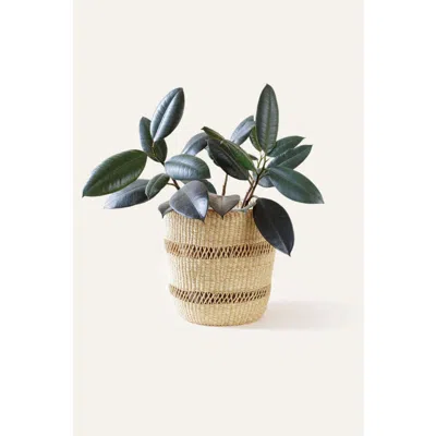 Indego Africa Bolga Planter