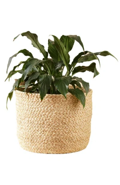Indego Africa Braided Raffia Planter In Brown