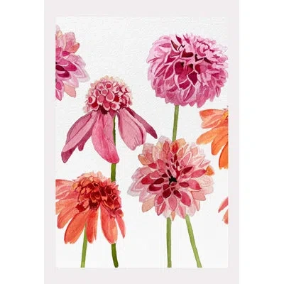 India & Purry Anemone Dahlia On Snow - No Frame Print In Pink,orange,green