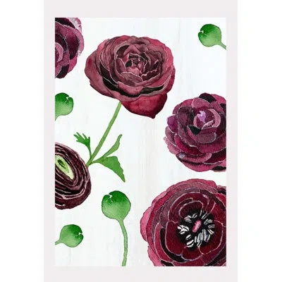 India & Purry Art Print: Black Ranunculus On Snow In White;purple