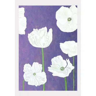 India & Purry Art Print: White Poppies On Violet In White;violet