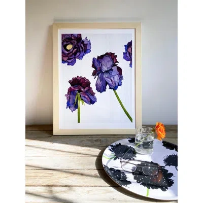 India & Purry Art Print:  Withering Ranunculus On White In White;green;purple