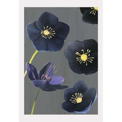 India & Purry Black Hellebore On Snow - No Frame Print In Charcoal