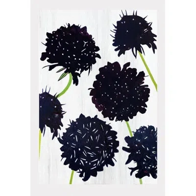 India & Purry Black Scabiosa On Snow - No Frame Print In Black,green