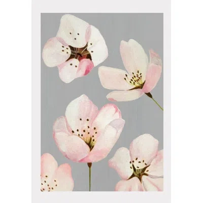 India & Purry Cherry Blossoms On Gray - No Frame Print In Light Pink,white,brown,yellow