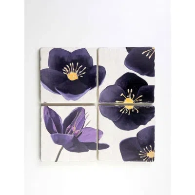 India & Purry Coaster Set: Black Hellebore On Snow In Black,violet,white