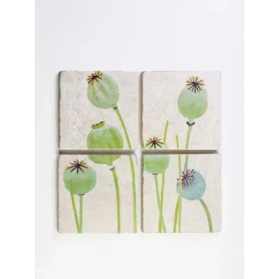India & Purry Coaster Set: Poppy Pods On Ecru In Green,white
