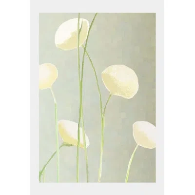 India & Purry Cream Flowers On Mist - No Frame Print In Cream,mist