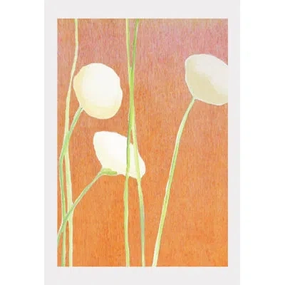 India & Purry Cream Flowers On Orange - No Frame Print In Orange,cream