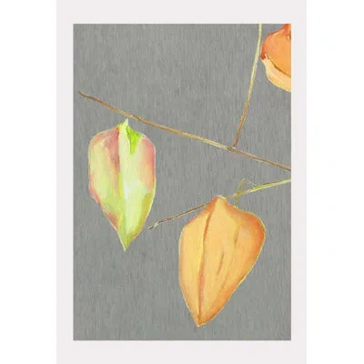 India & Purry Lanterns On Gray - No Frame Print In Orange,green,pink
