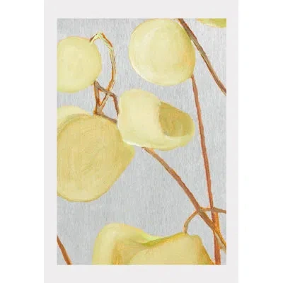 India & Purry Milkweed On Pale Gray - No Frame Print In Brown,light Green