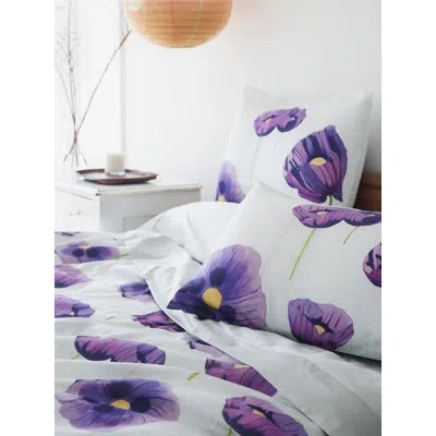 India & Purry Pillow Sham: Purple Poppies On Snow In White;purple