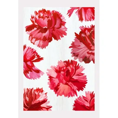 India & Purry Red Carnations On Snow - No Frame Print In Red,snow