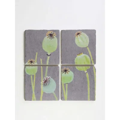 India & Purry Square 4 Piece Coaster Set In Gray,green