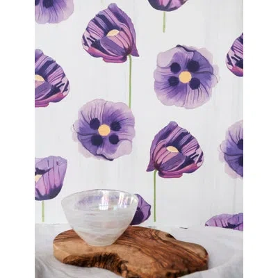 India & Purry Wallpaper: Purple Poppies On Snow In Purple,snow