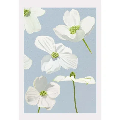 India & Purry White Dogwood Blossoms On Earth - No Frame Print In Pale Blue