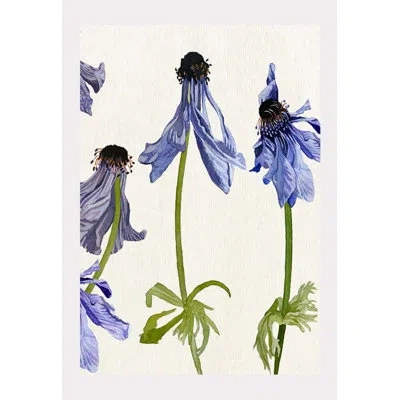India & Purry Wilted Anemone On Ecru - No Frame Print In Ecru,blue,black,green