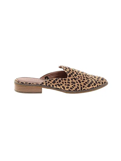 Pre-owned Indigo Rd Mule/clog In Brown