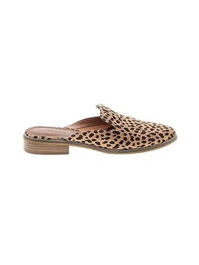 Pre-owned Indigo Rd Mule/clog In Brown