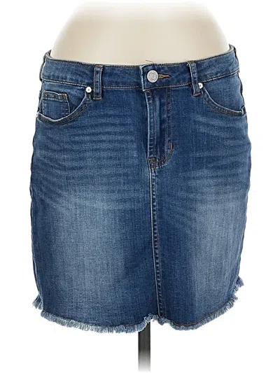 Pre-owned Indigo Rein Denim Skirt In Blue
