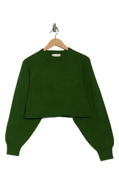 Industry Republic Clothing Raglan Sleeve Crop Sweater In Green