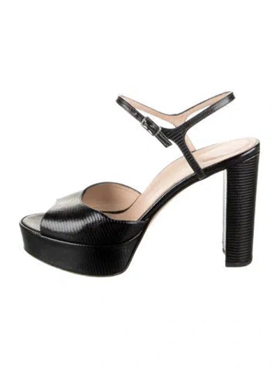 Pre-owned Inez Patent Leather Animal Print Sandals In Black