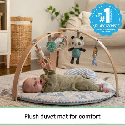 Ingenuity Cozy Spot Duvet Activity Gym With Self-storage, Machine Washable Mat, Elephant March In Multi