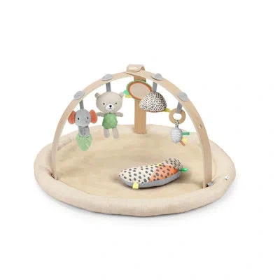 Ingenuity Every Season Plush Lambswool Play Gym In Brown;white;ivory;tan
