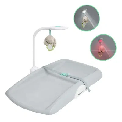 Ingenuity Sylvi Day & Night Sylvi Changing Pad In Gray